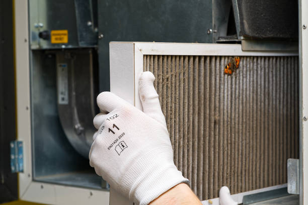 Best Local Air Duct Cleaning Services  in Elfers, FL
