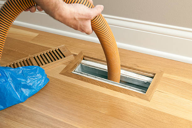 Best Air Duct Cleaning Near Me  in Elfers, FL